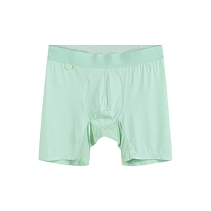 Mens Underwear Boxer